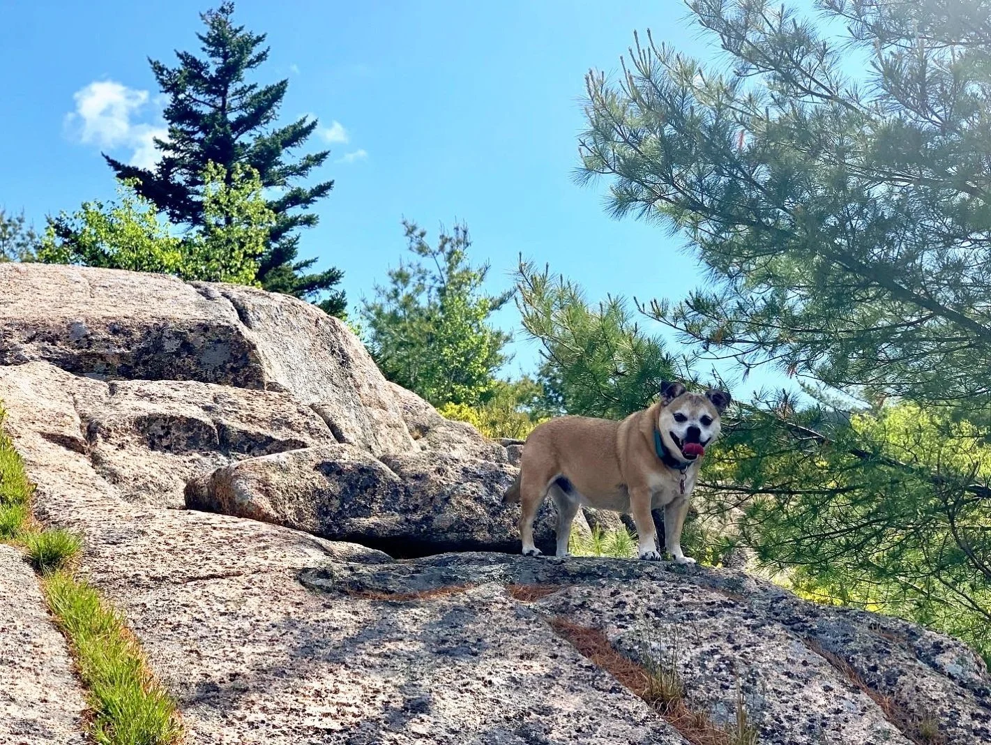 Spring Fever Pop-Up Hiking Adventure