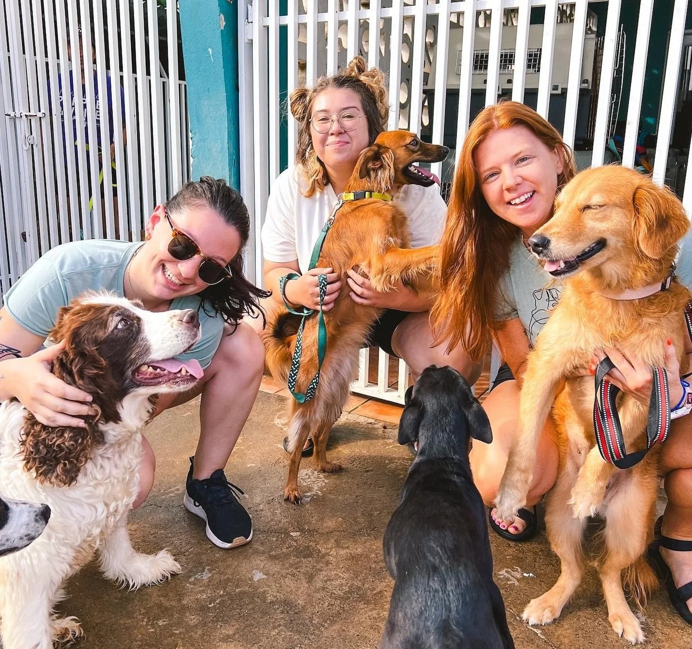 Puerto Rico Vibe &amp; Volunteer Adventure