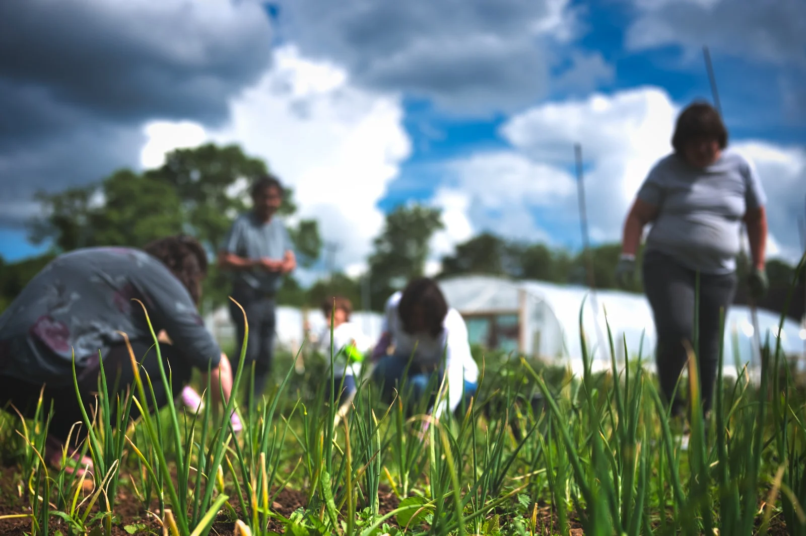 Practicing Welcome: Farmbox