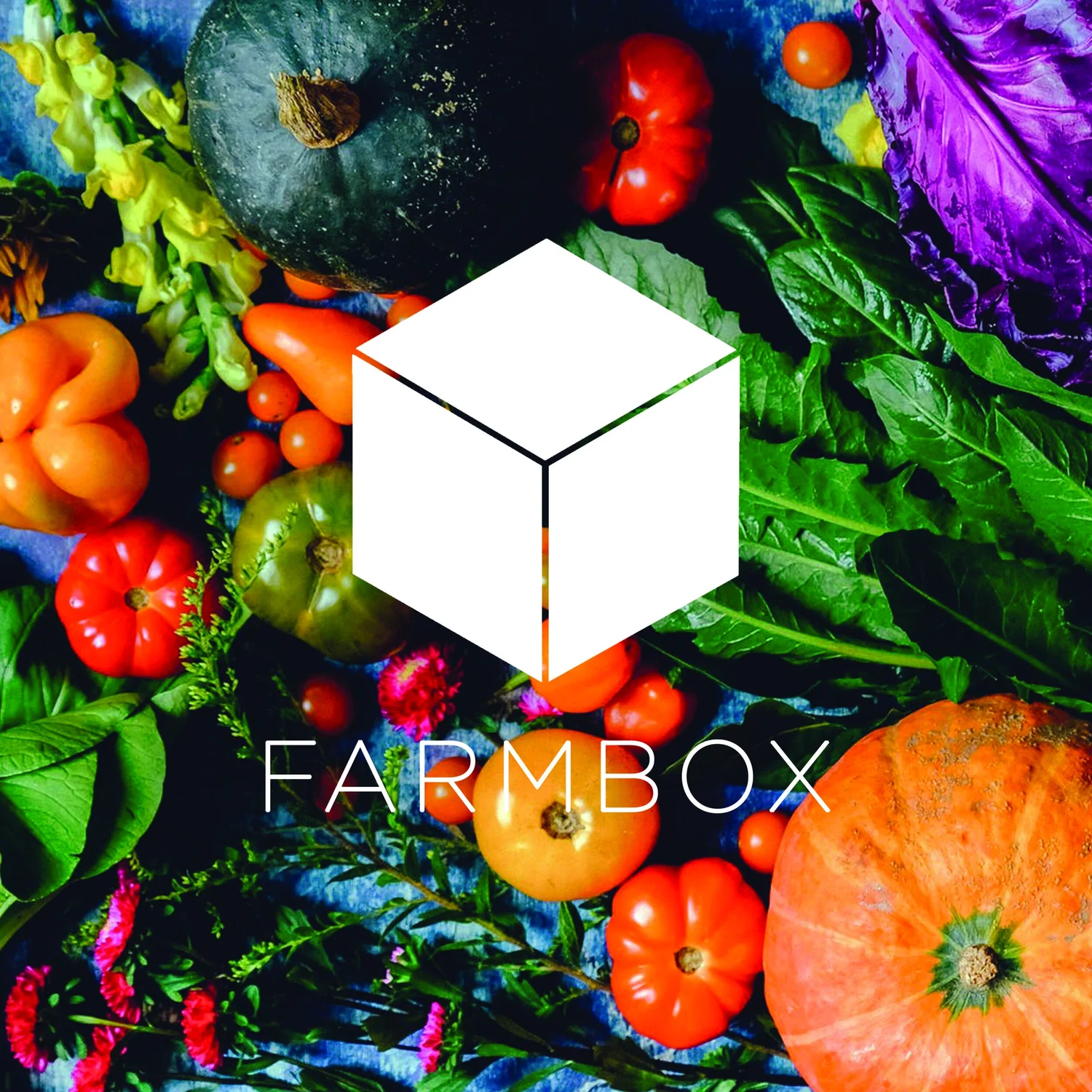 [Conversation] with Ian and Libby Ryans (Farmbox) episode artwork
