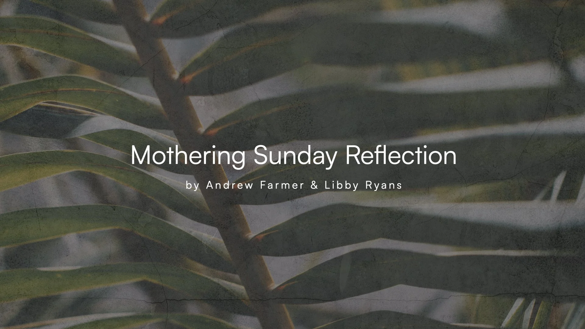 Mothering Sunday Reflection