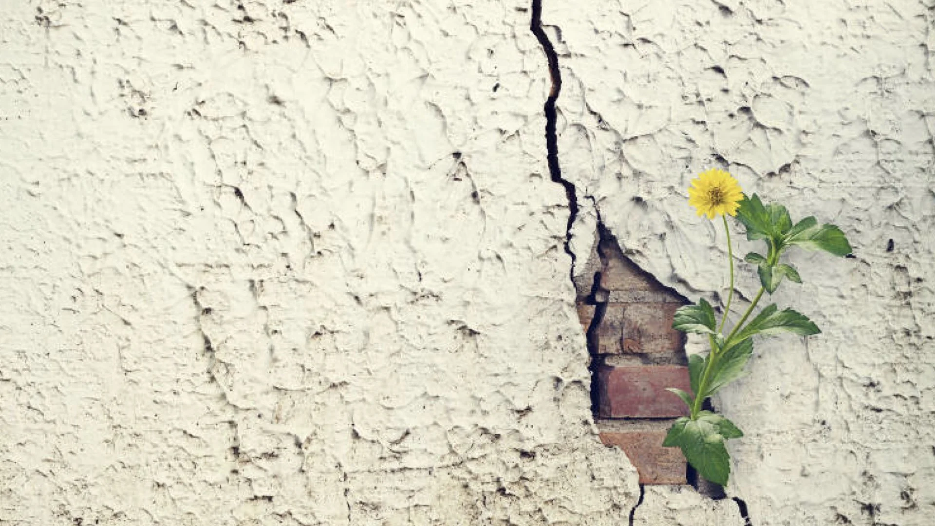 Easter Sunday: Practice Resurrection