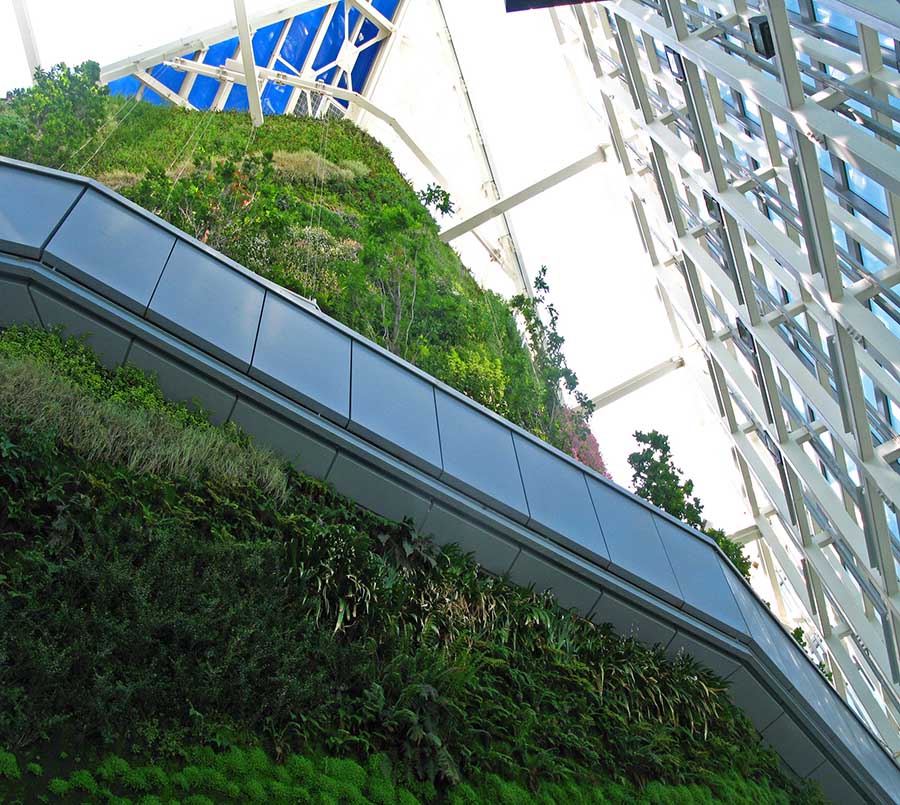 Jardín vertical en la Torre de Cristal de Madrid, diseñado por Patrick blanc.