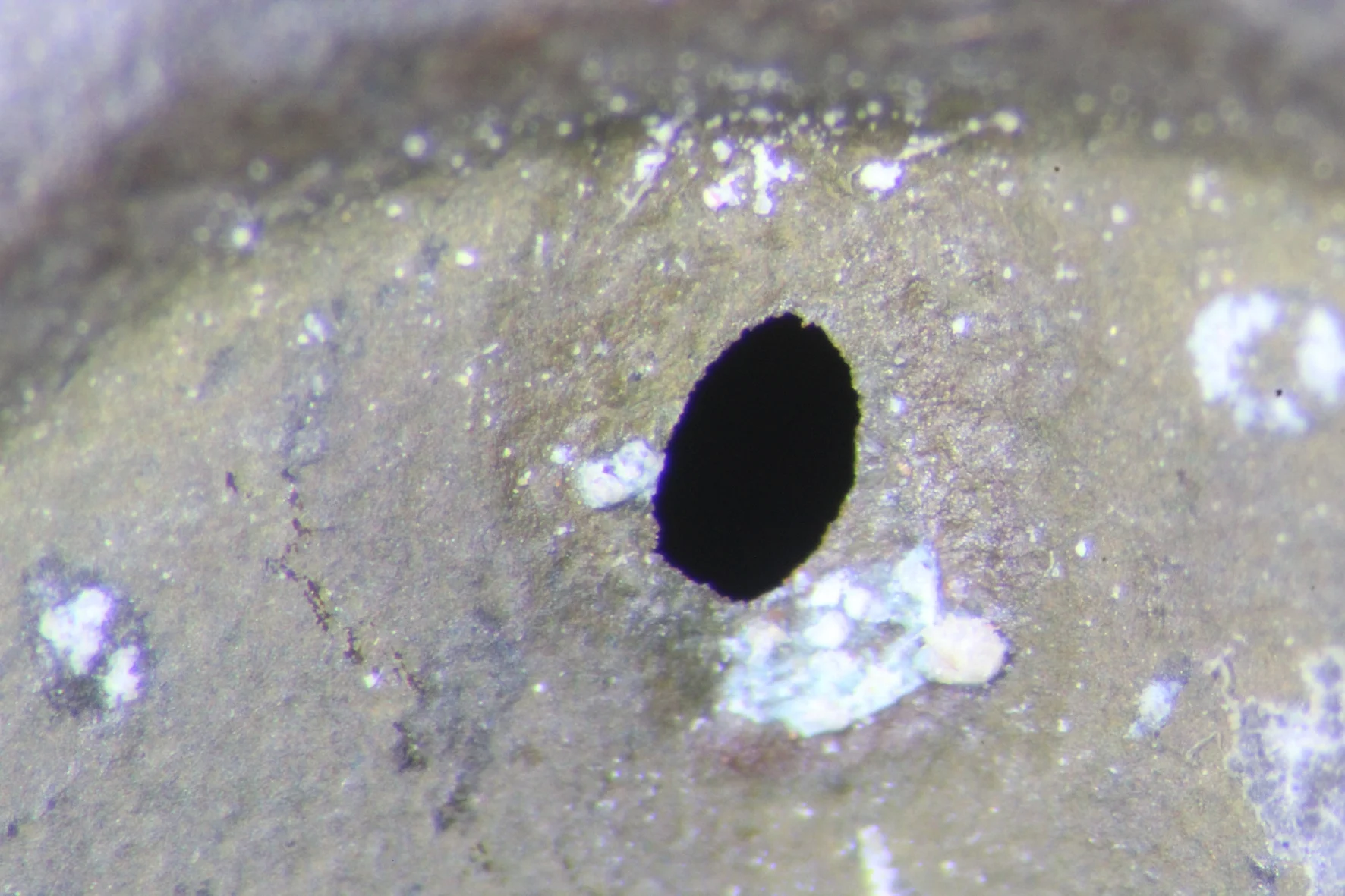   Detail aus Bild Nr. 1 unter dem Stereomikroskop, die Außenoberfläche im Bereich des Wanddurchbruchs ist frei von mechanischen Beschädigungen.   