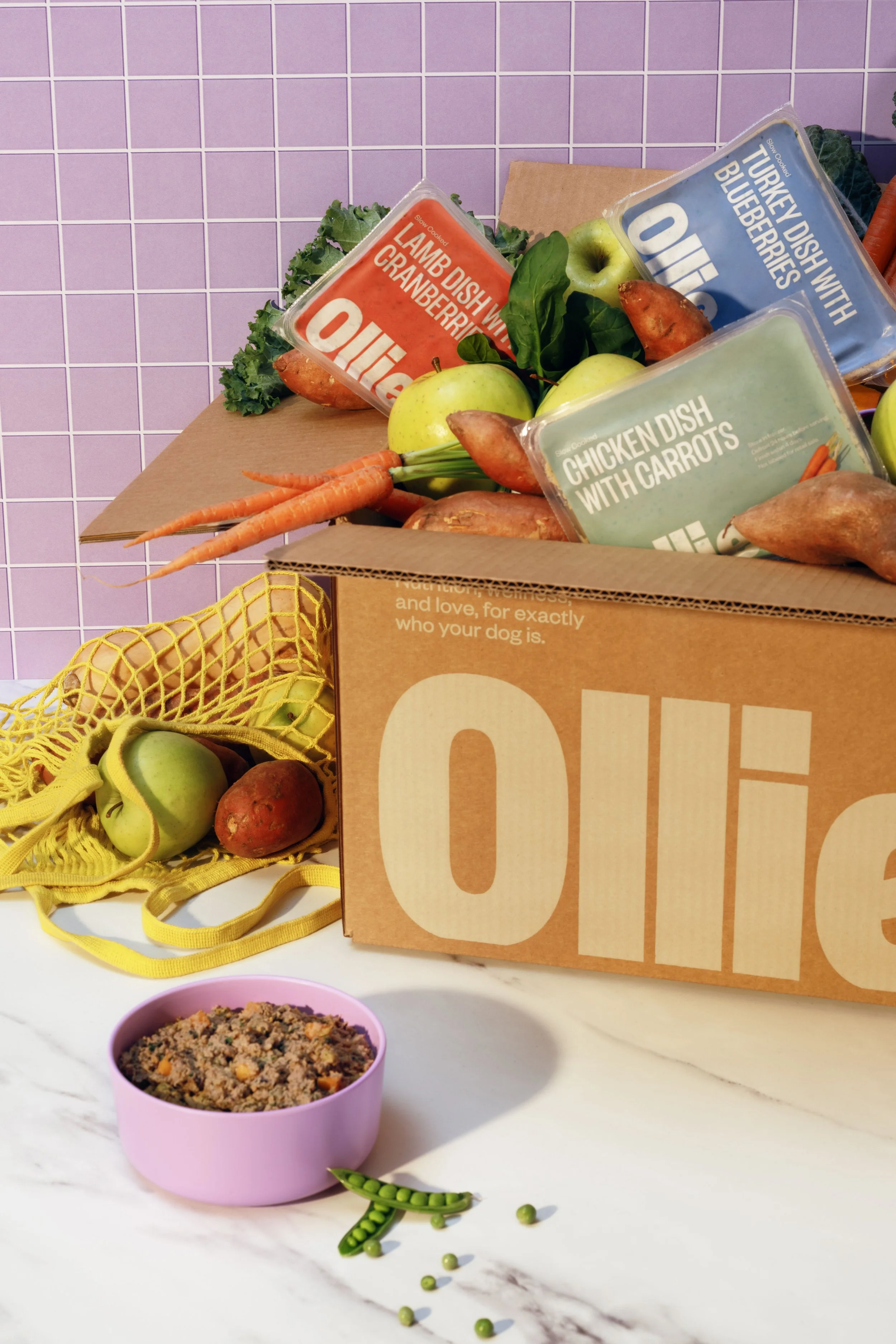 20260303_Tayler_Smith_Ollie_Family_Shot_Still_Life_0417.jpeg