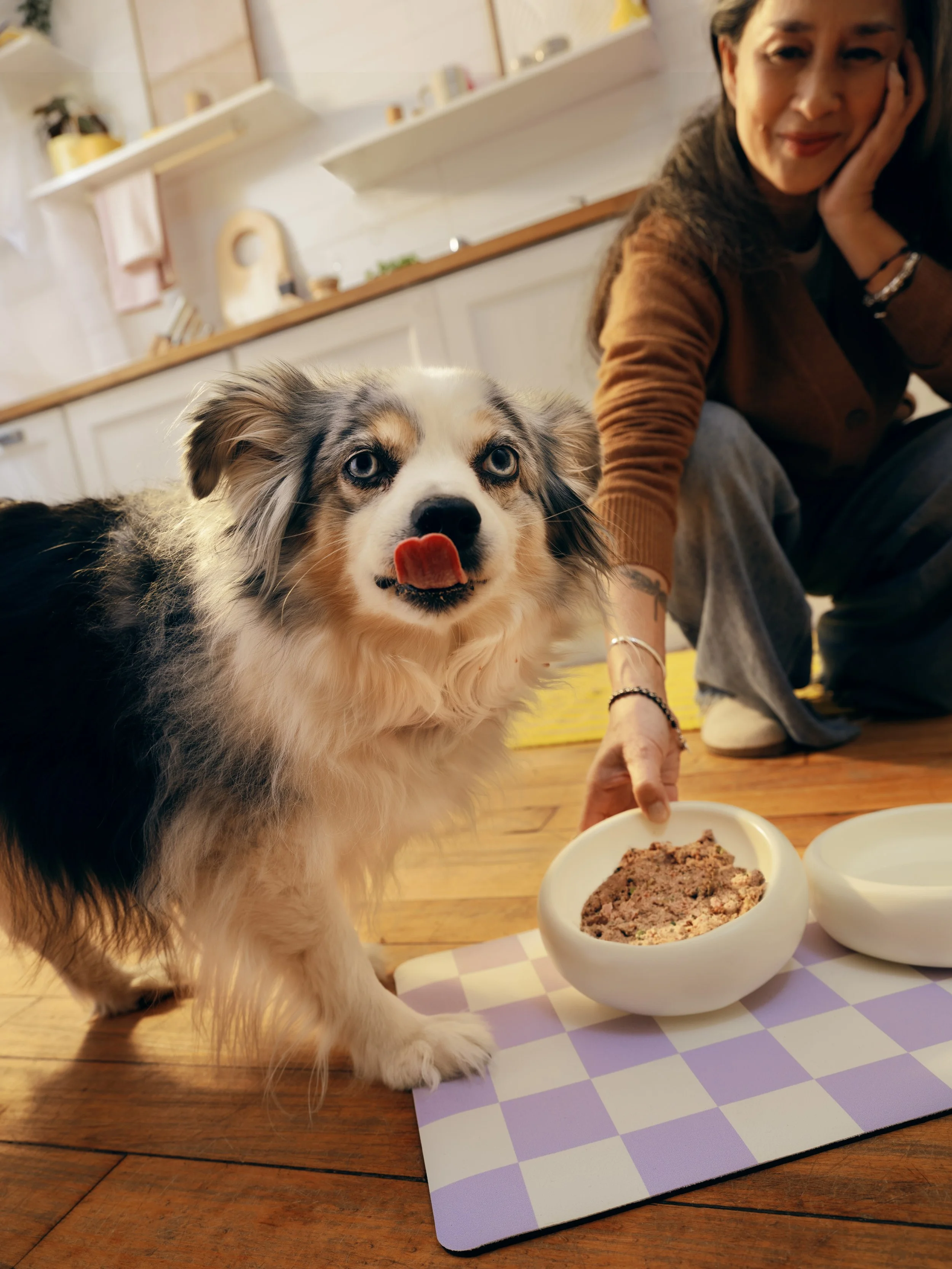 20260303_Tayler_Smith_Ollie_Shot_01_Rocket_Feeding_1328.jpeg