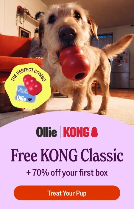 Affiliates_Banner_Promo_June-2026_Kong_450x700.jpg