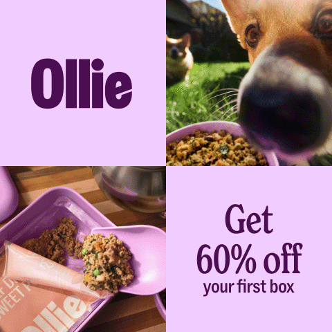 Affiliates_SMS_Promo_Promo_March-Multibox_2026.gif