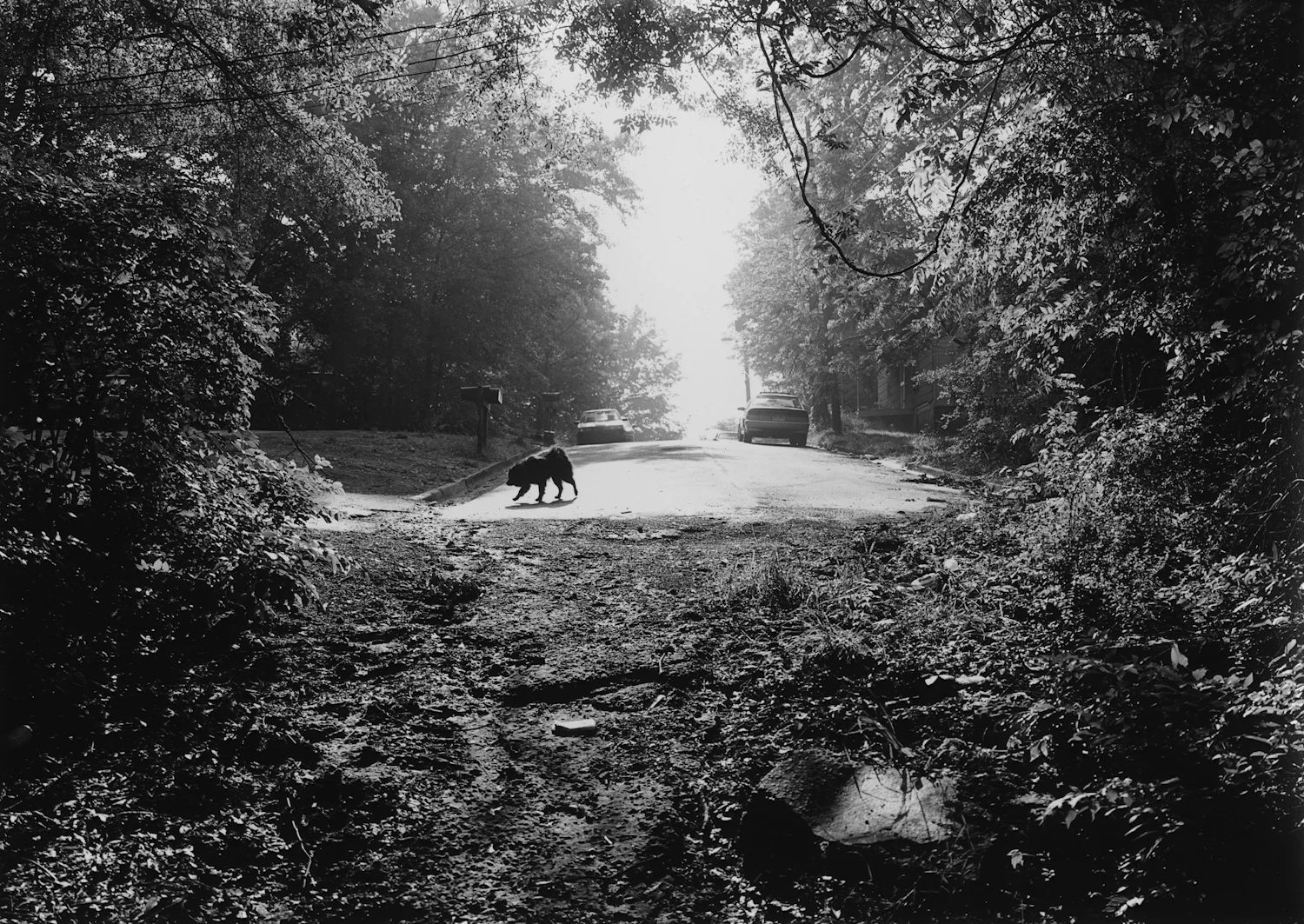 GreaterAtlanta-19.jpg