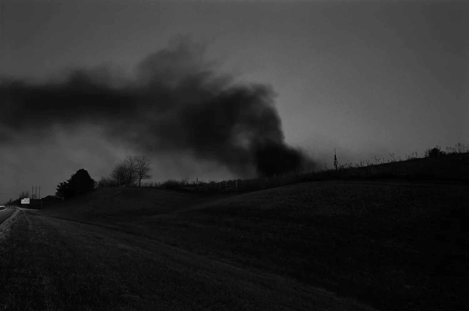 Pastoral-15.jpg