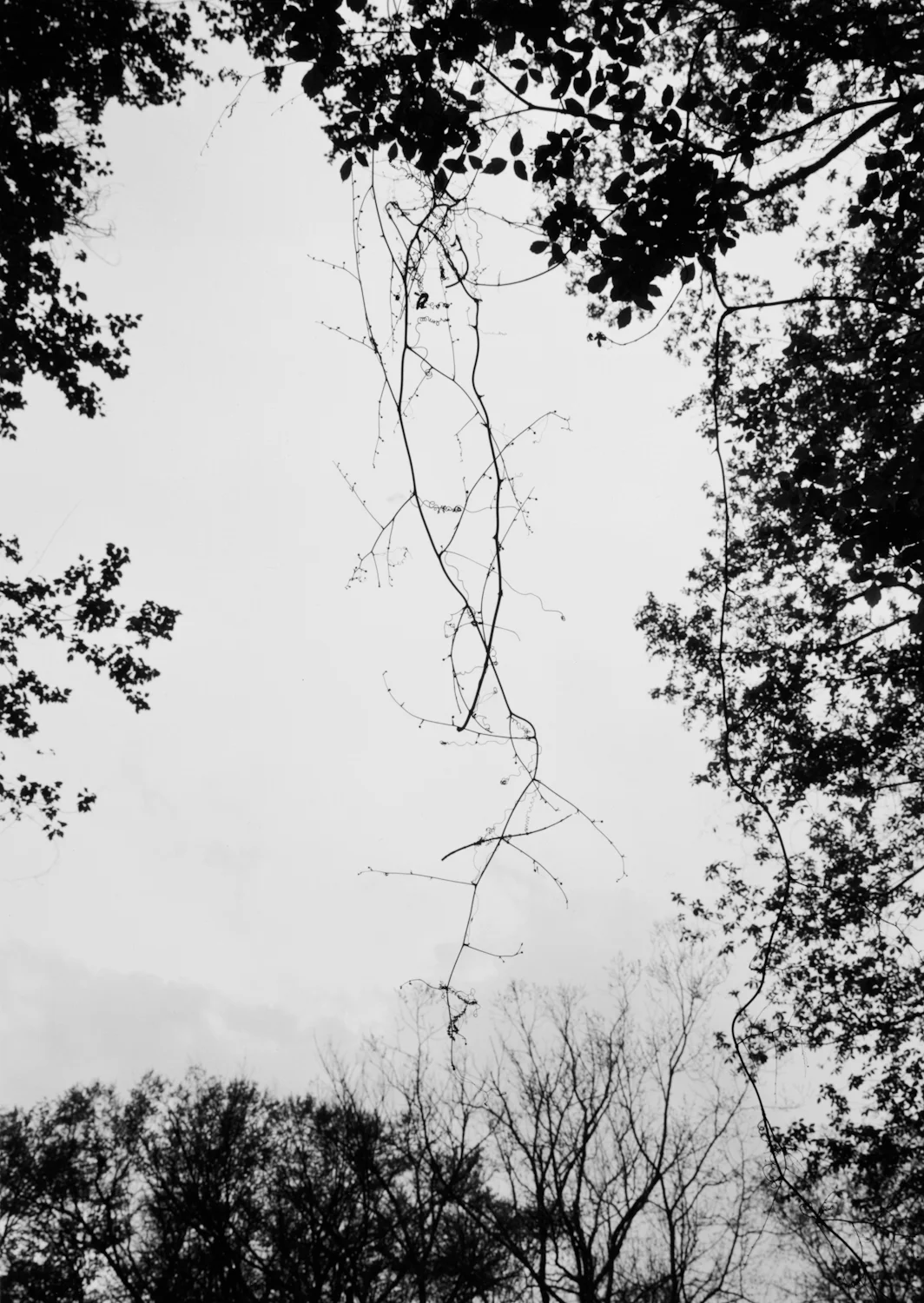 Sandycreek-7.jpg