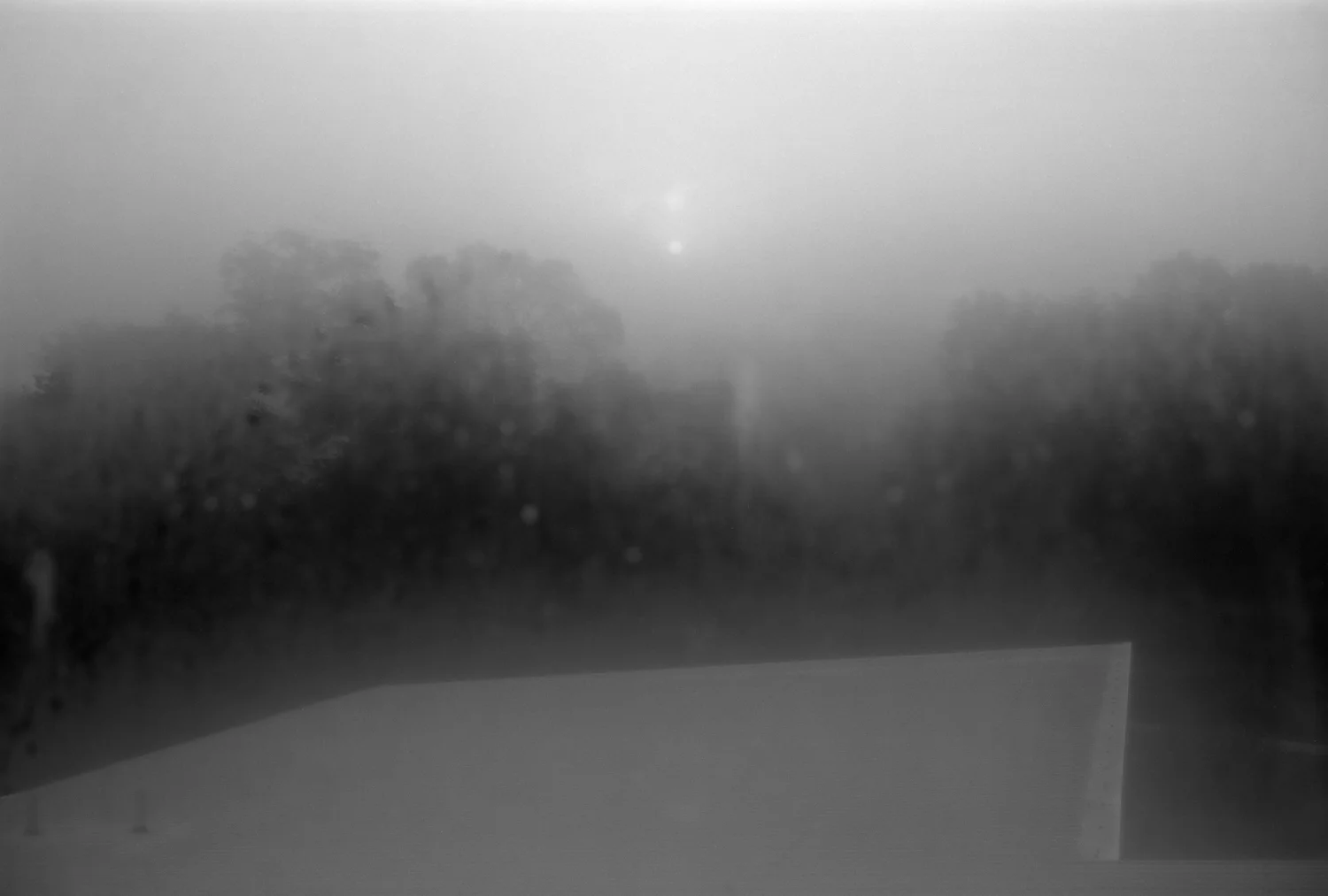 from-my-home-mark-steinmetz-3.jpg