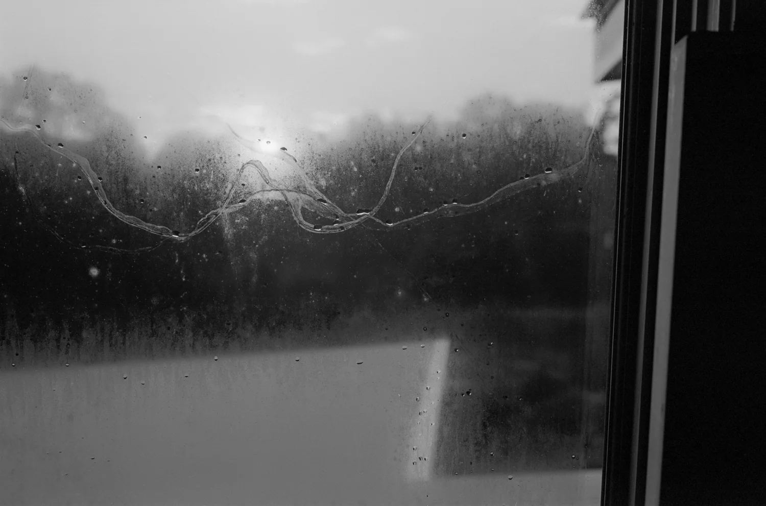from-my-home-mark-steinmetz-4.jpg