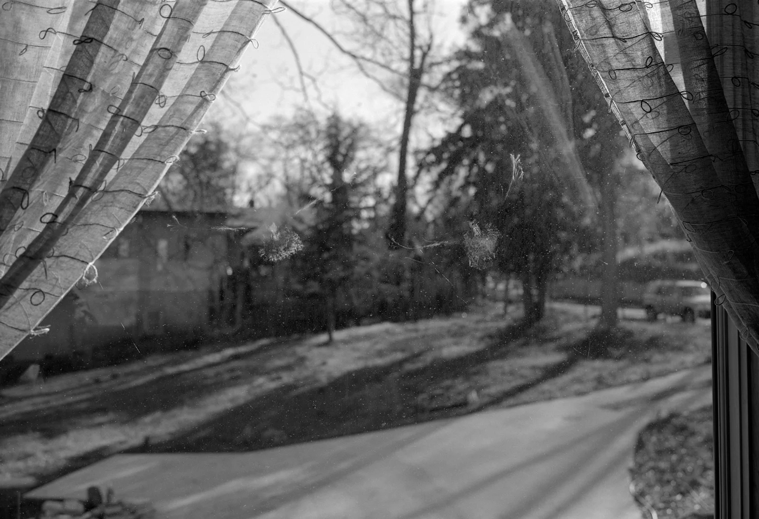 from-my-home-mark-steinmetz-14.jpg