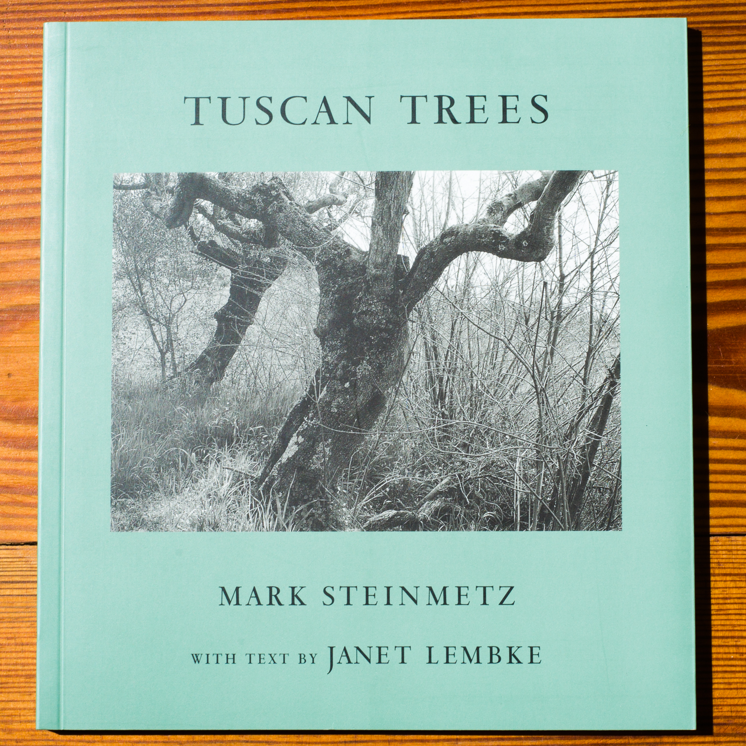 Tuscan Trees (2002)