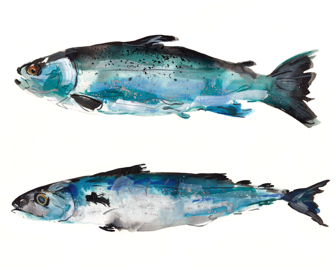 ABBYCOOKFISH.png