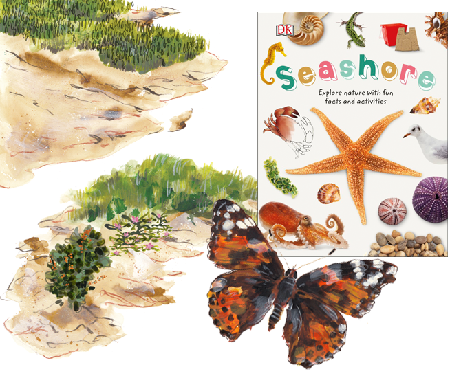 DKSEASHORE1.png