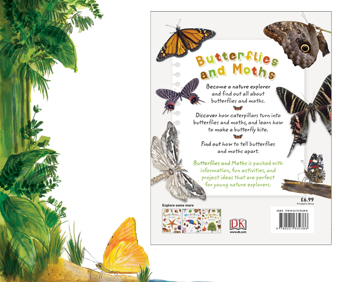 DKBUTTERFLY1.png