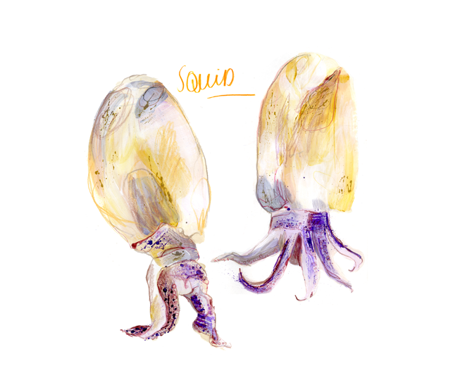 FOOD1.png