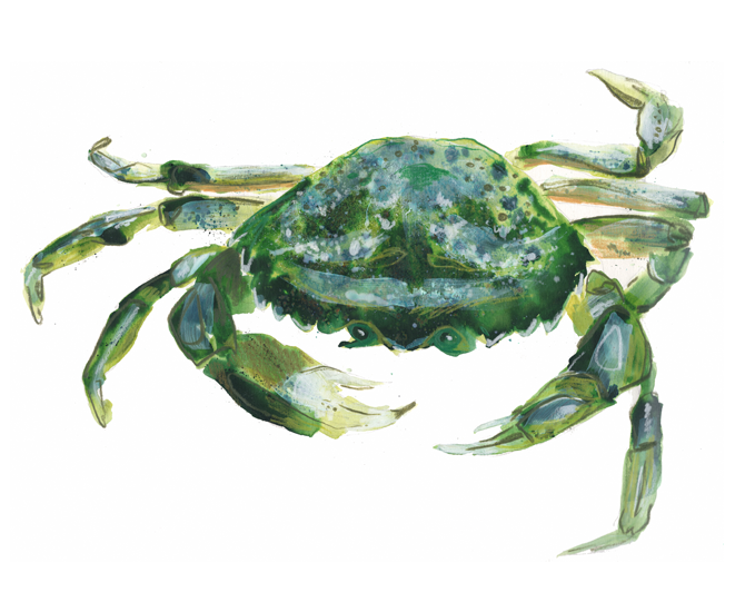 FOOD4.png