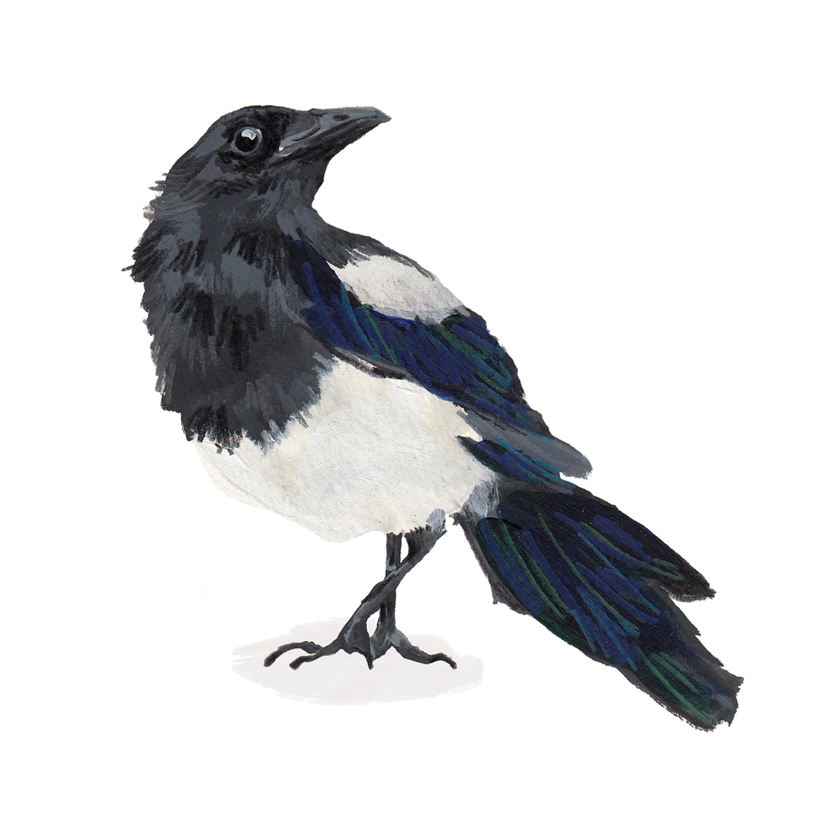 THEWILDLIFETRUSTSFRONTIMAGE.jpg