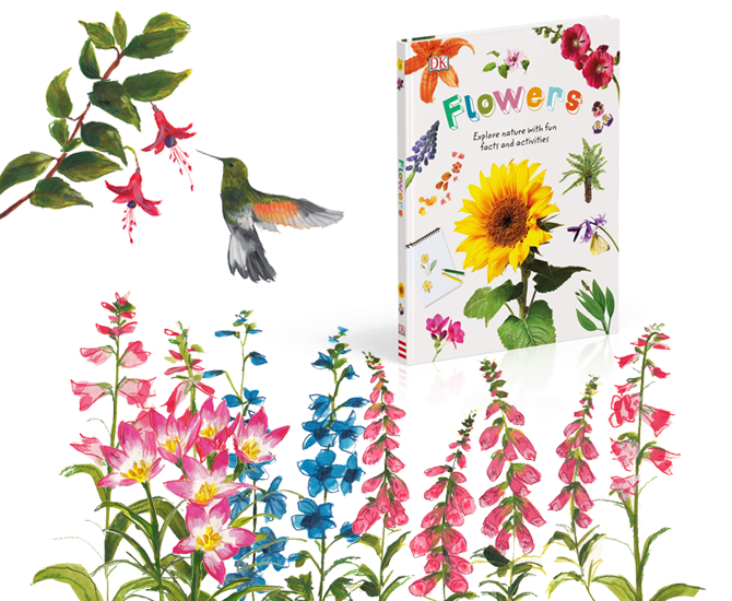 DKFLOWERS1ABBYCOOKILLUSTRATION.png