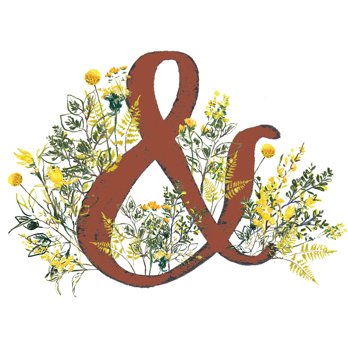 TYPEFRONTIMAGEABBYCOOKILLUSTRATION.jpg