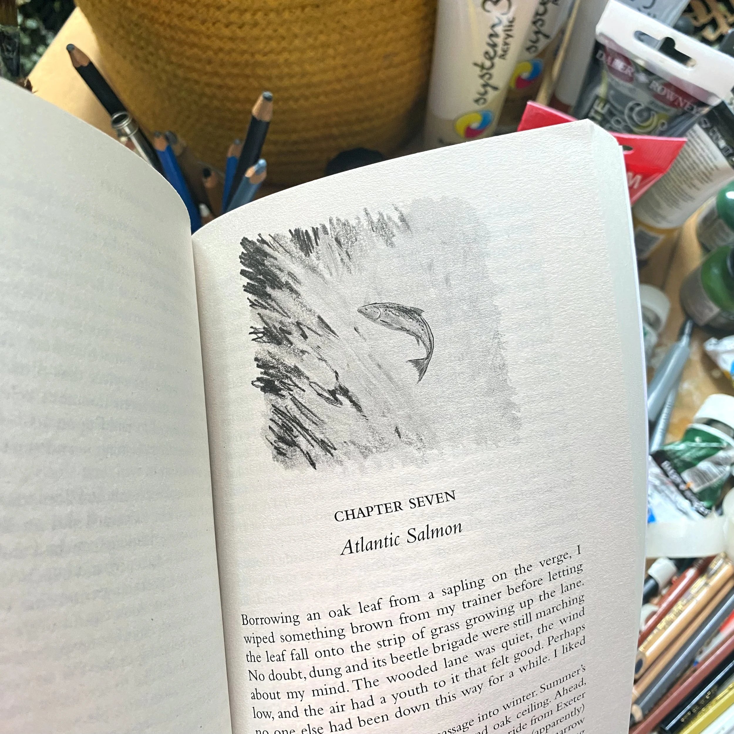 What is a book cover illustrator, and what makes a successful cover ...