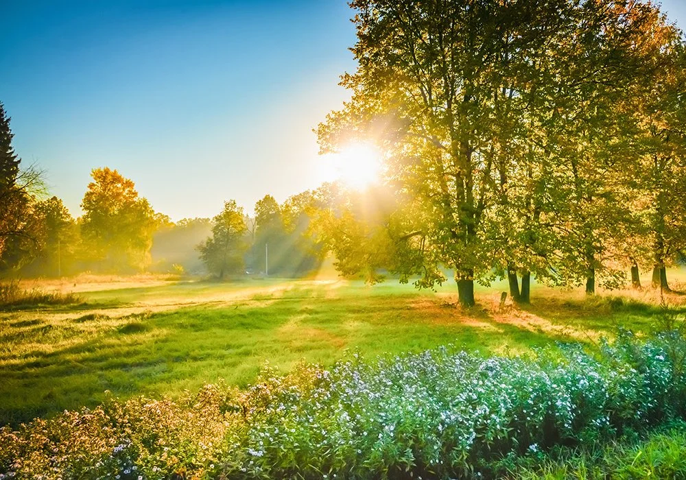 Life and Light