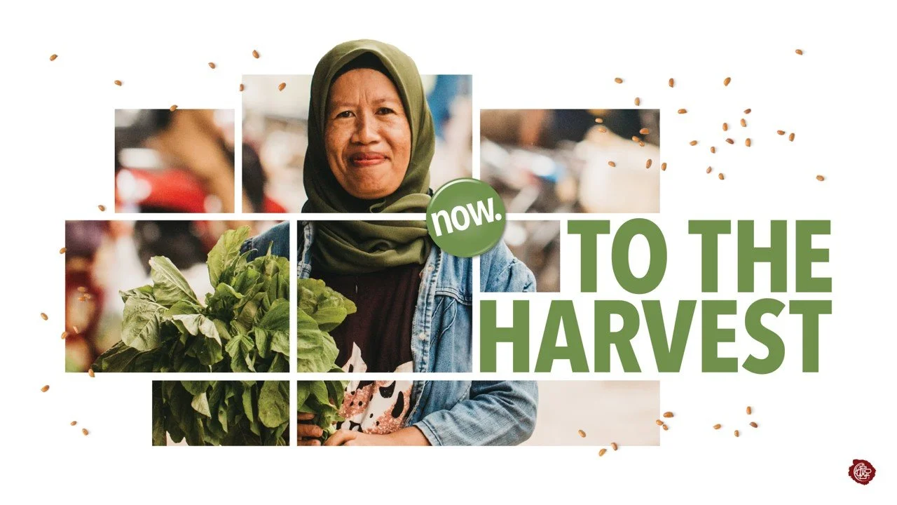 To the Harvest