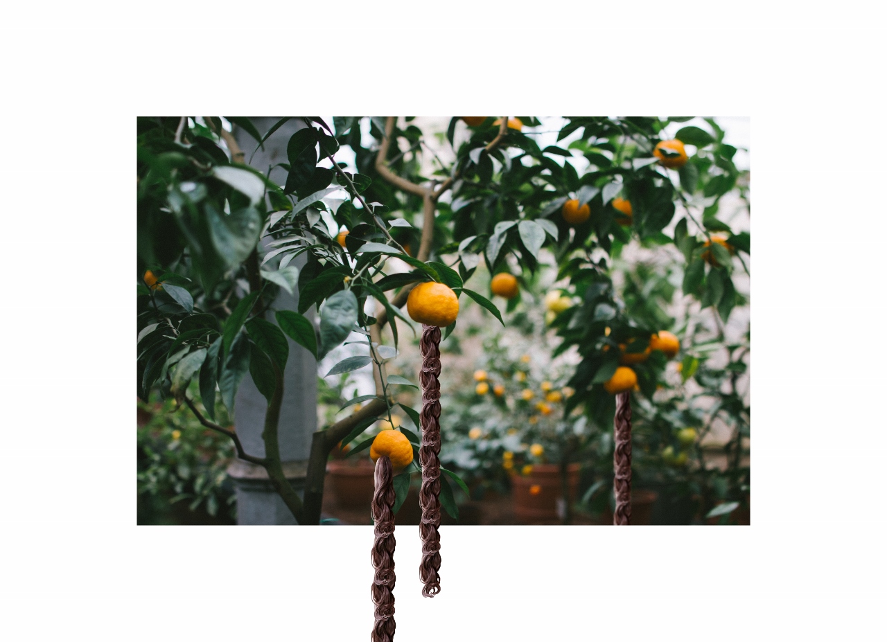 "Apples & Oranges" Digital print 24" x 35.5"