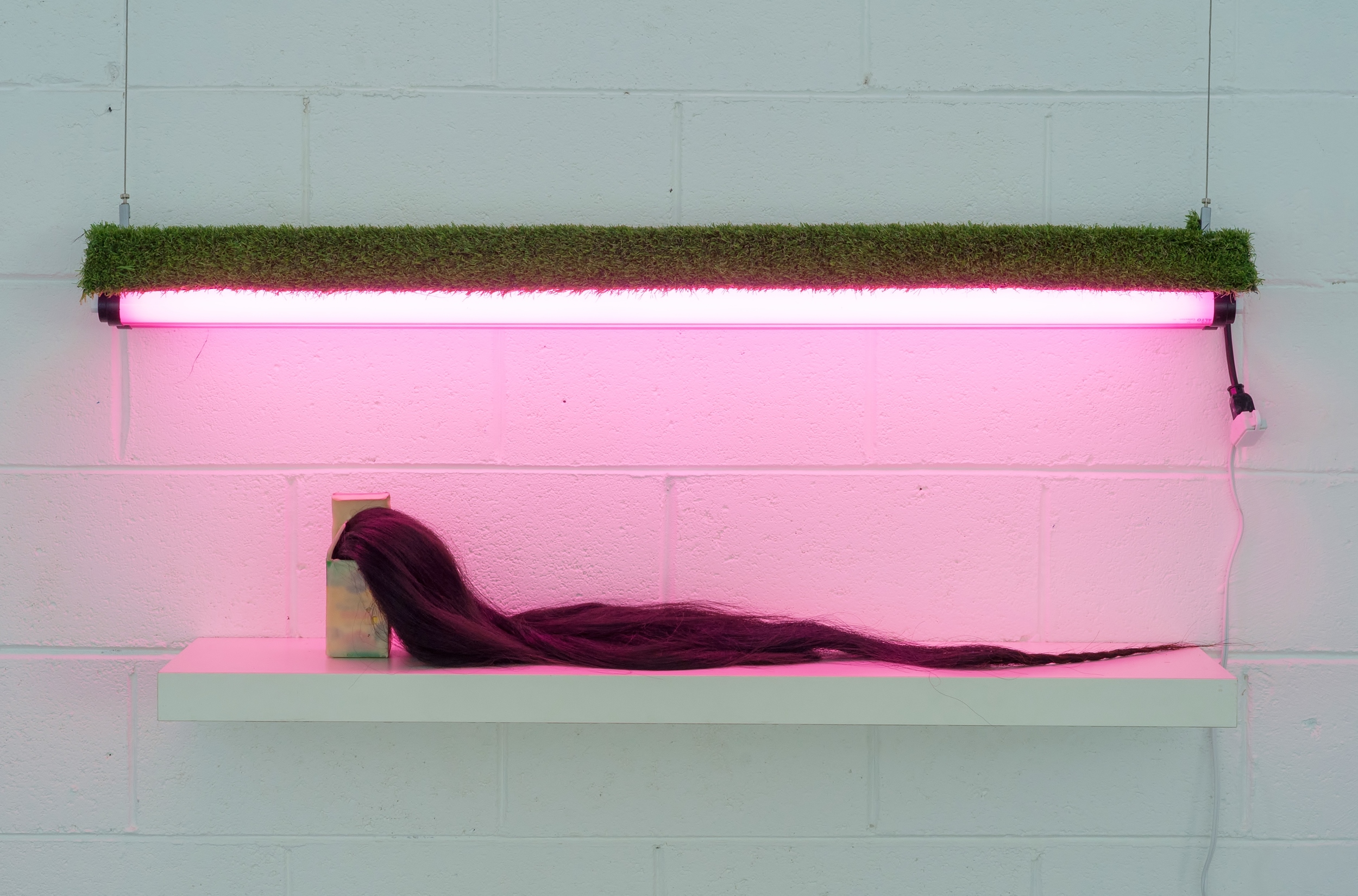  "It's a Miracle! Long." Miracel grow, horse hair, beeswax, damar resin, astroturf, fluorescent light 43.5" x 10.5" x 2" 