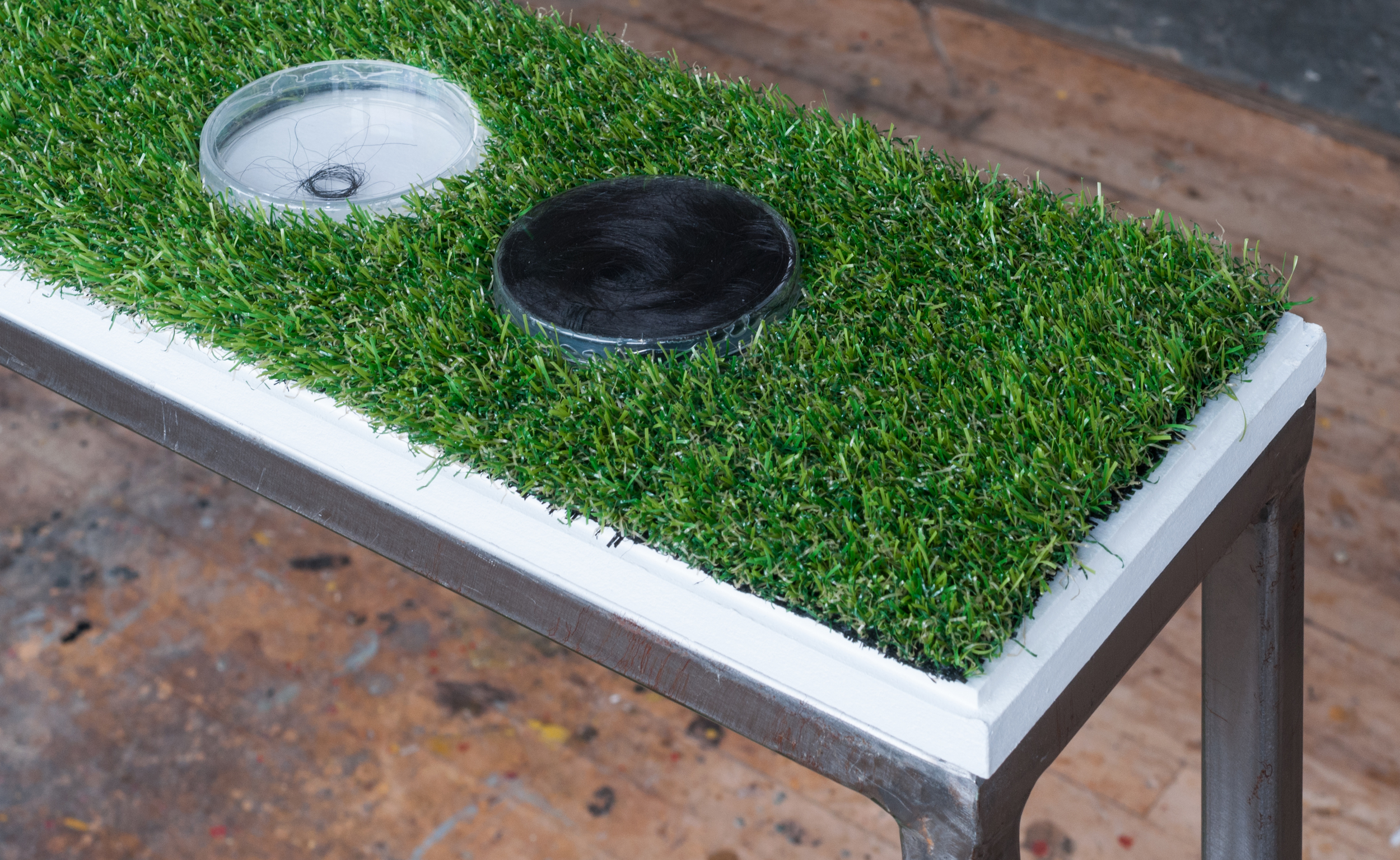 "Two Times Daily" Petri dishes, synthetic hair, beeswax, damar resin, astroturf 37" x 8" x 1