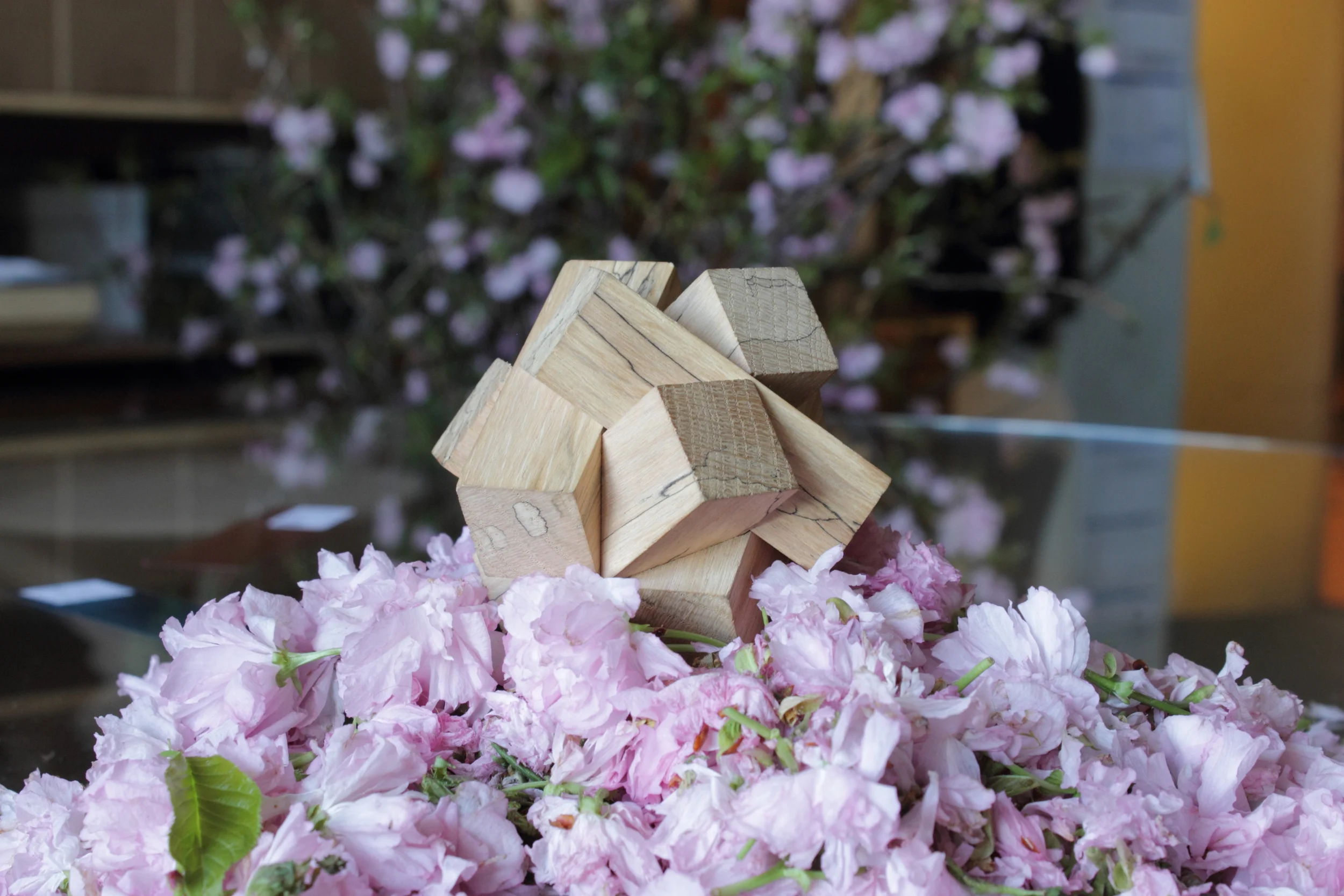 IMG_5077Tristate puzzles spalted001.jpg