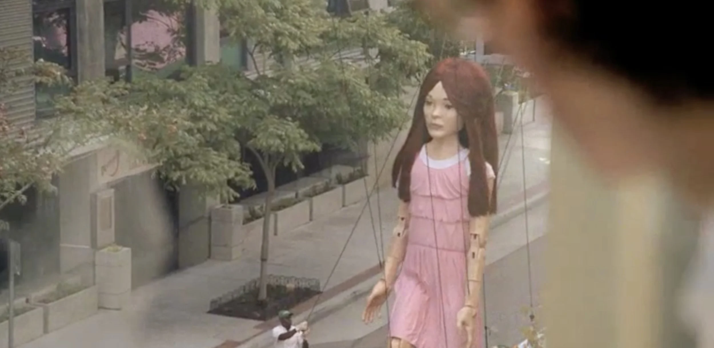 Mayflower | Brent Harris