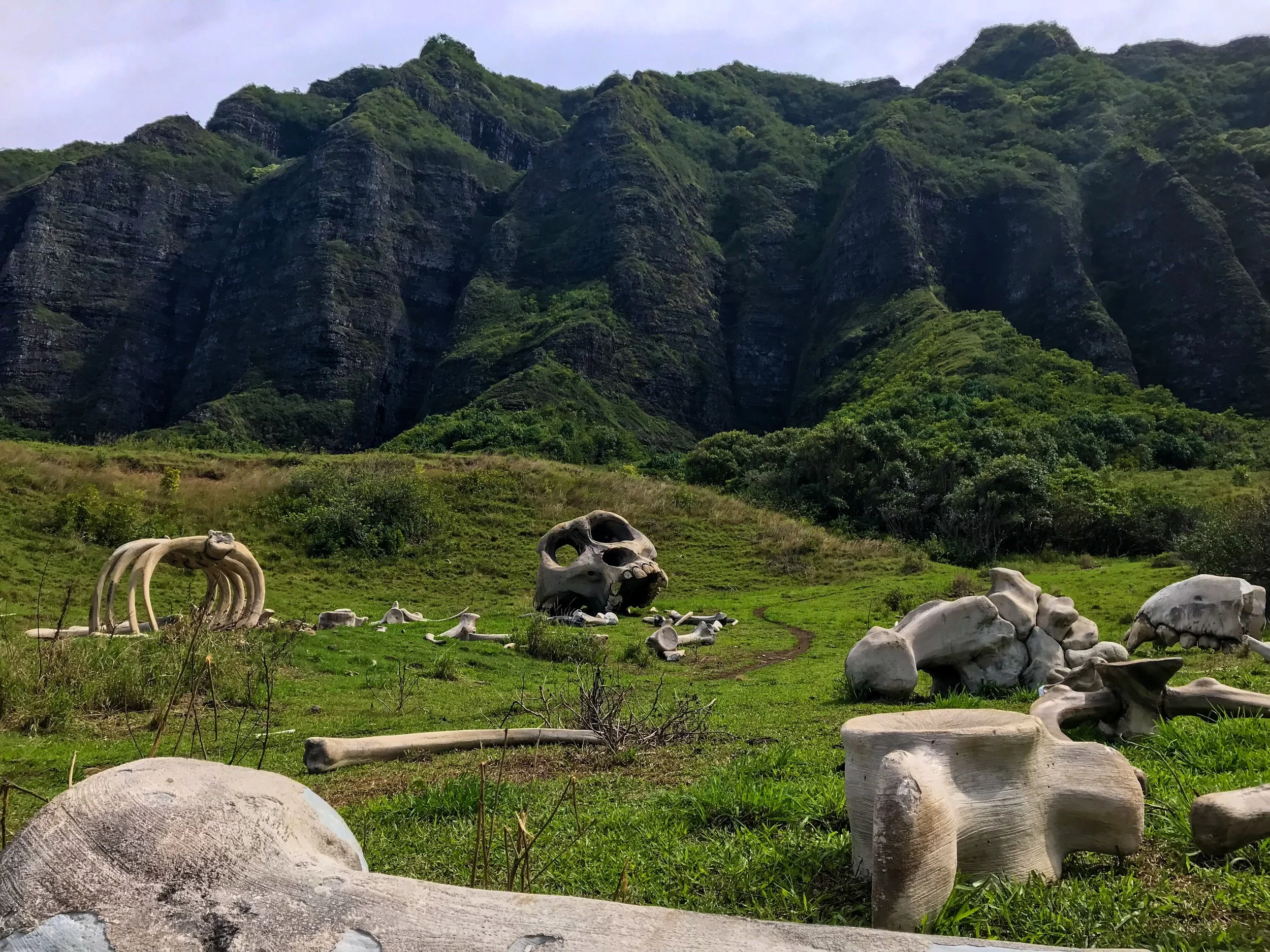      

 
   Jurassic Park, Jurassic World, Pearl Harbor, Godzilla, Kong: Skull Island and Lost are some of the productions that have been filmed at this 4,000-acre private ranch in Hawaii.  I’ve been interested in visiting Kualoa Ranch for at least f