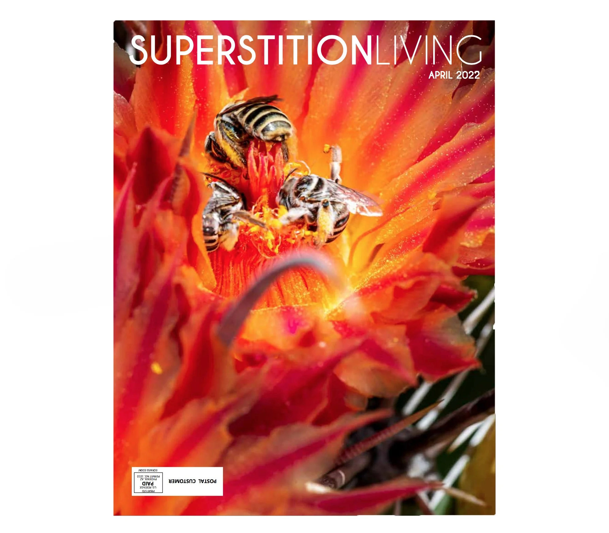 SuperstitionLivingApr22.jpg