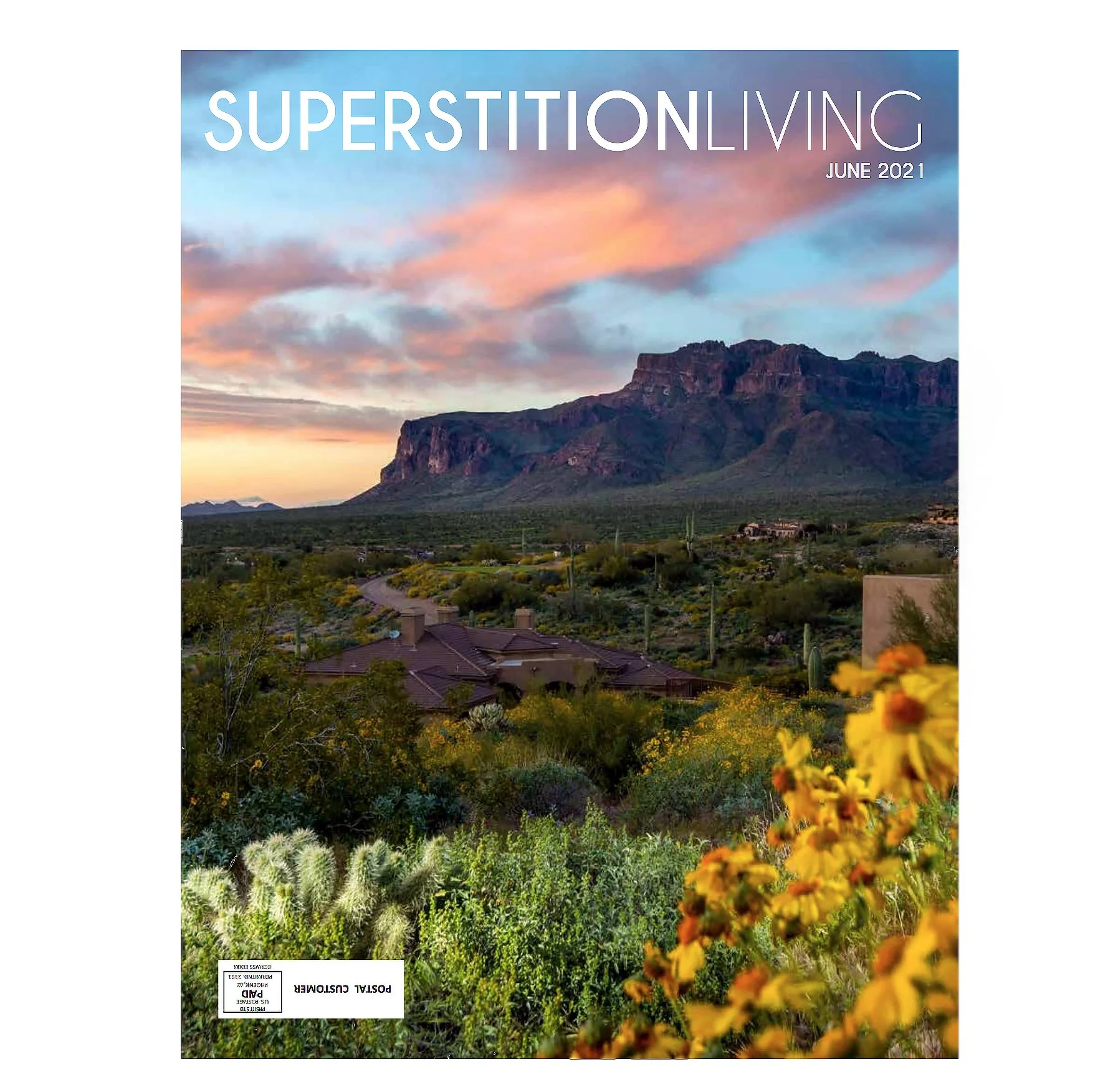 SuperstitionLivingCover.jpg