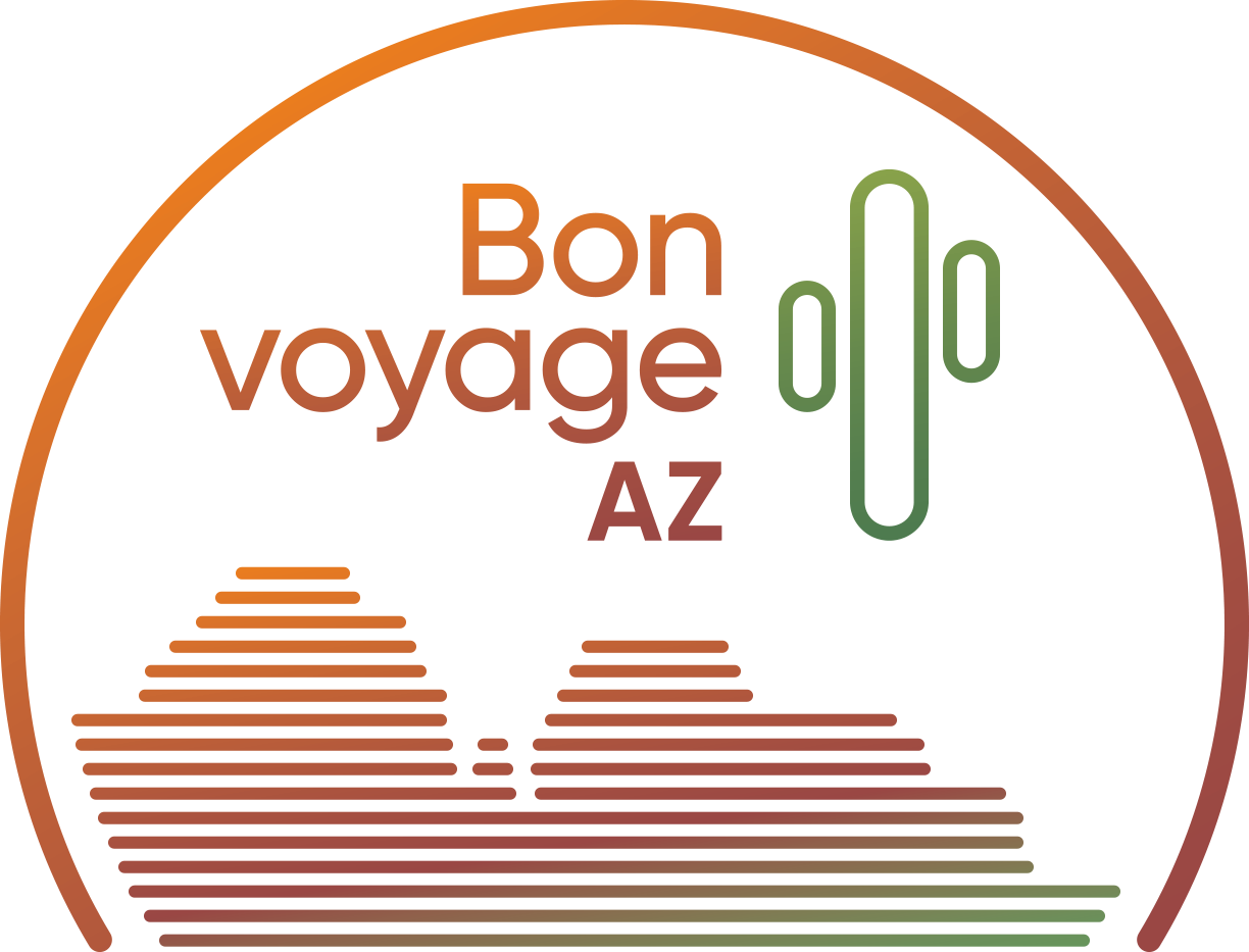 A stylized pixel art illustration of a stage with a green cactus and the textwork "The Public" in the background, with an orange and green color scheme.