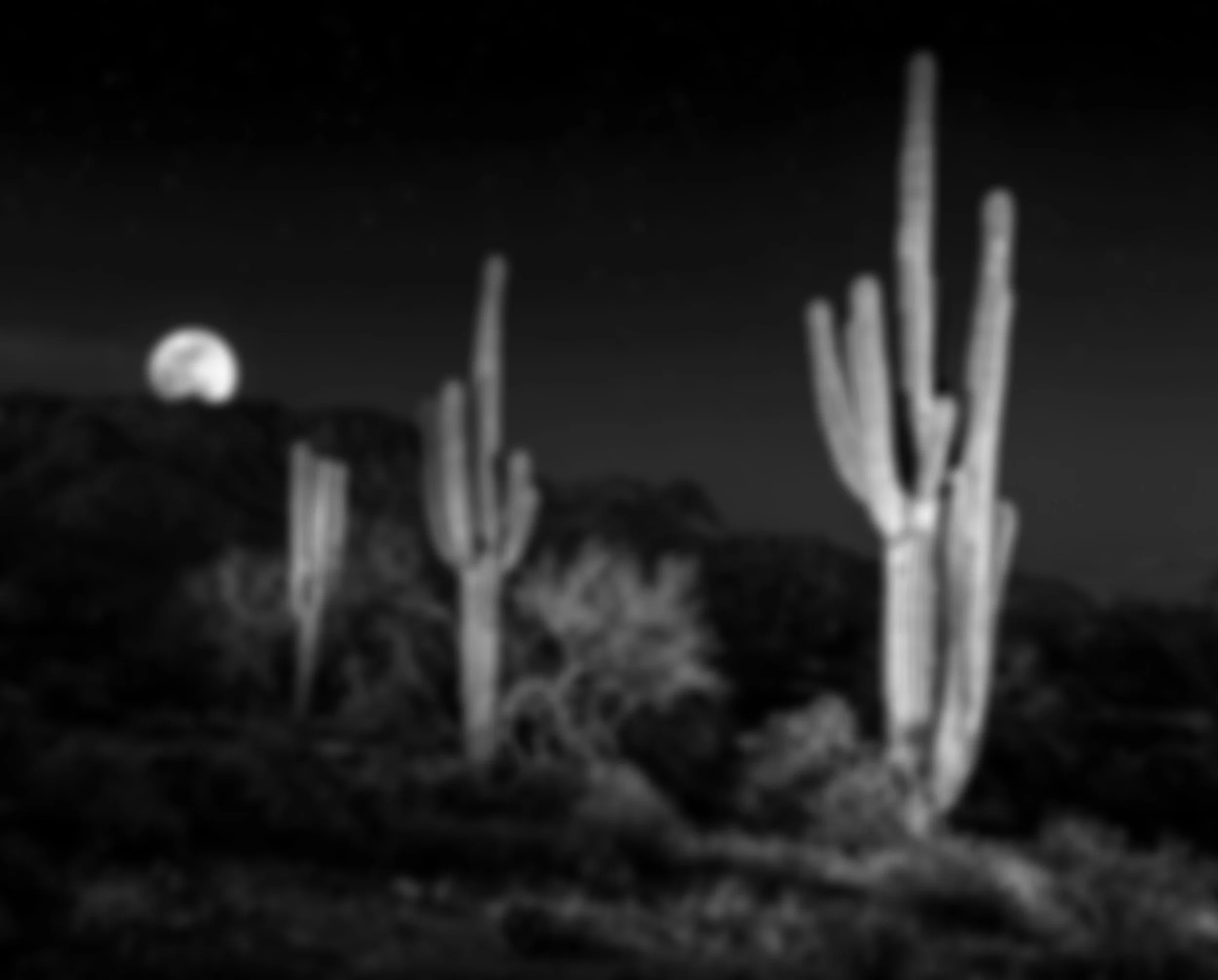 A black and white photo of a desert night scene with three tall saguaro cacti in the foreground, the full moon rising over a mountain ridge in the background.