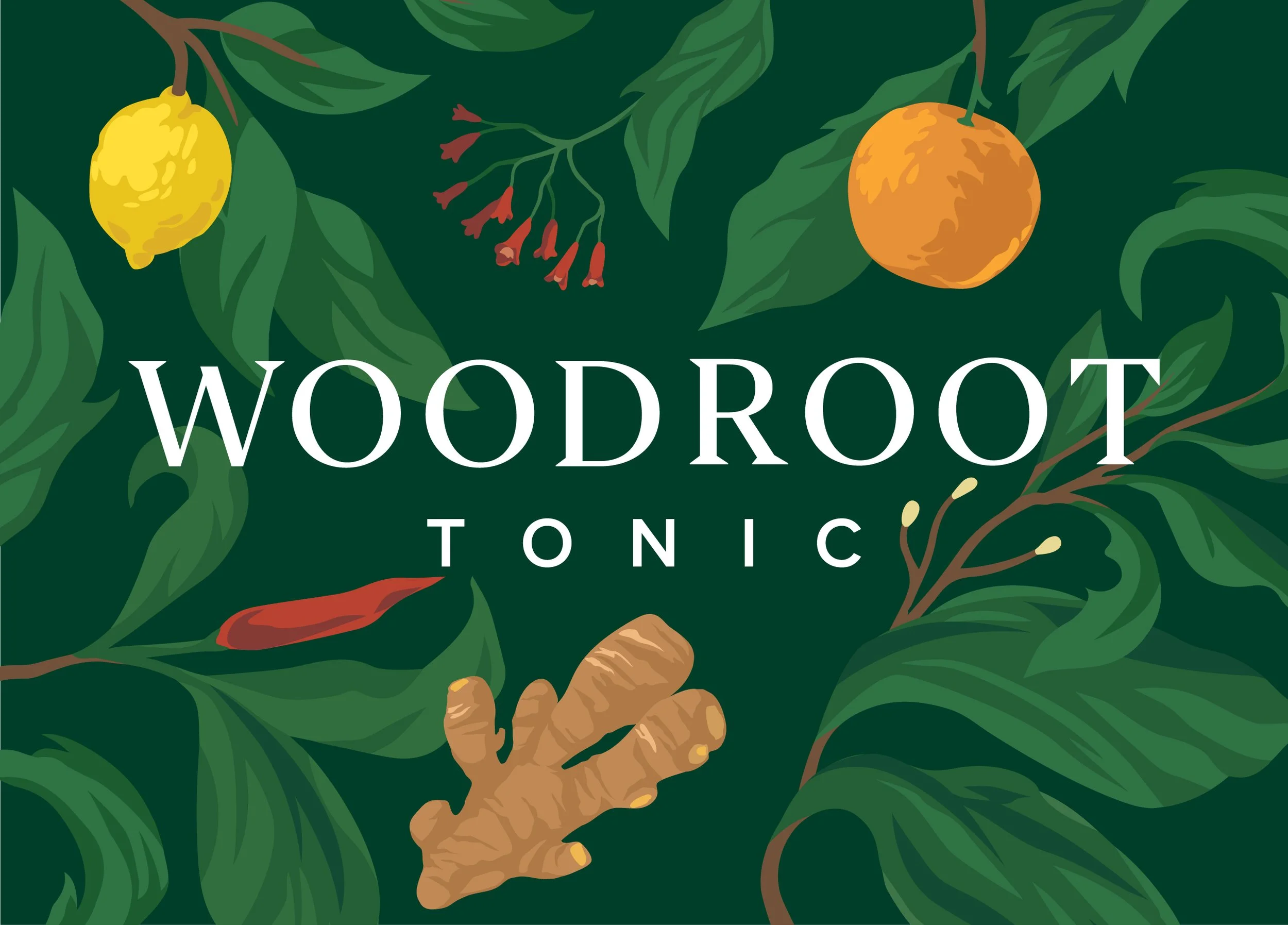 Woodroot_Illustration_Splash_JY-01.jpg
