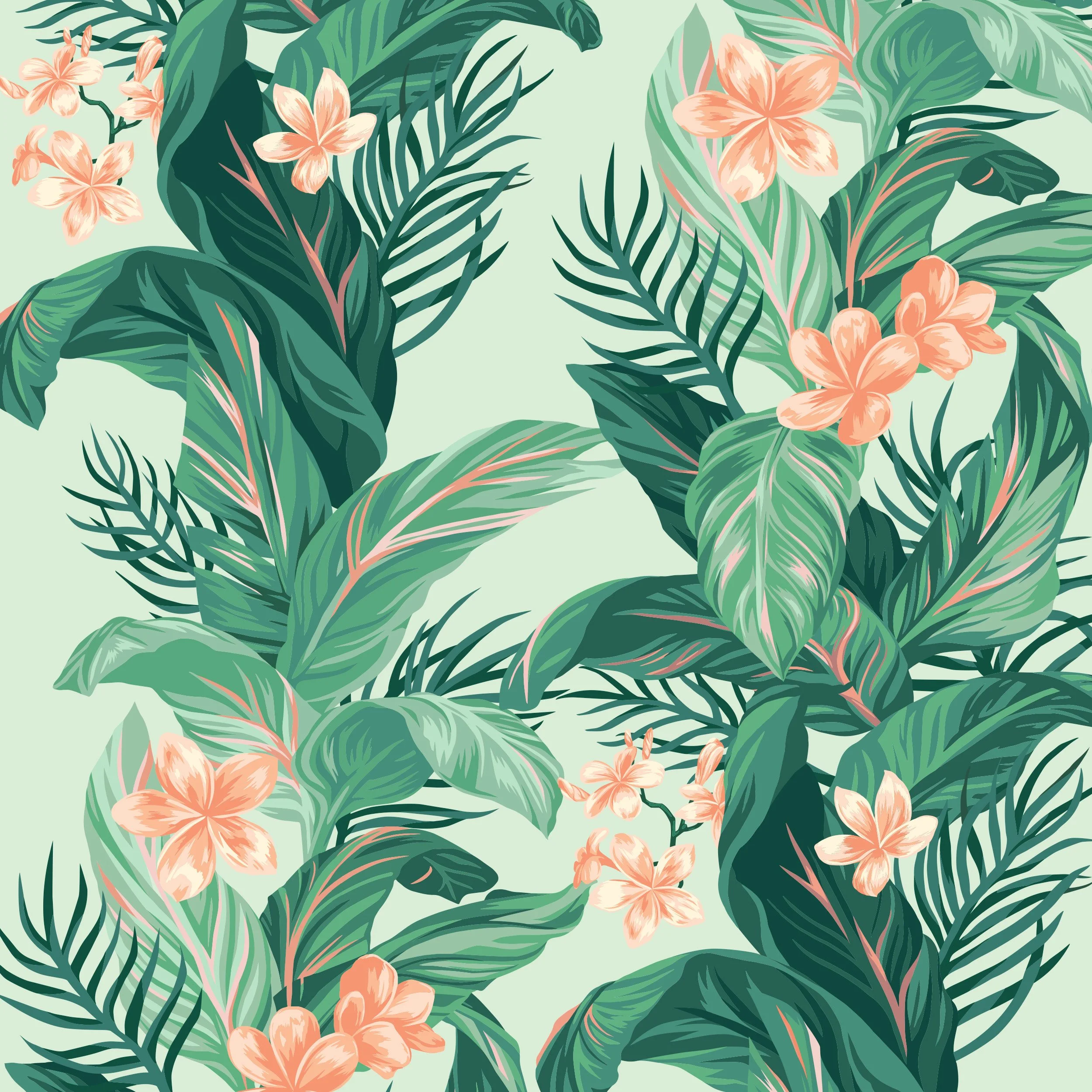 Hula_Illustration_Final_Plumeria_close.jpg