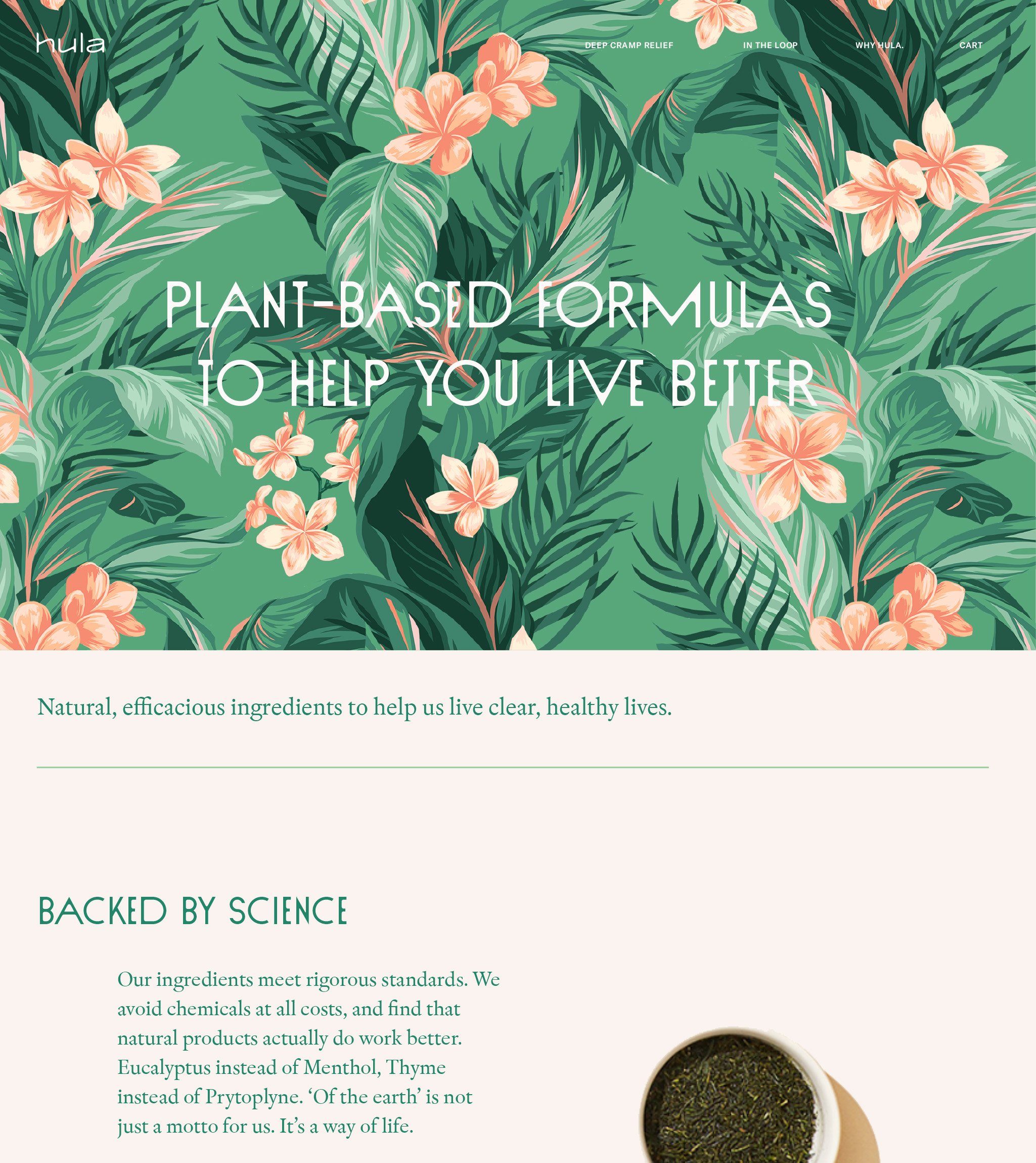 Hula_Illustration_Web.jpg