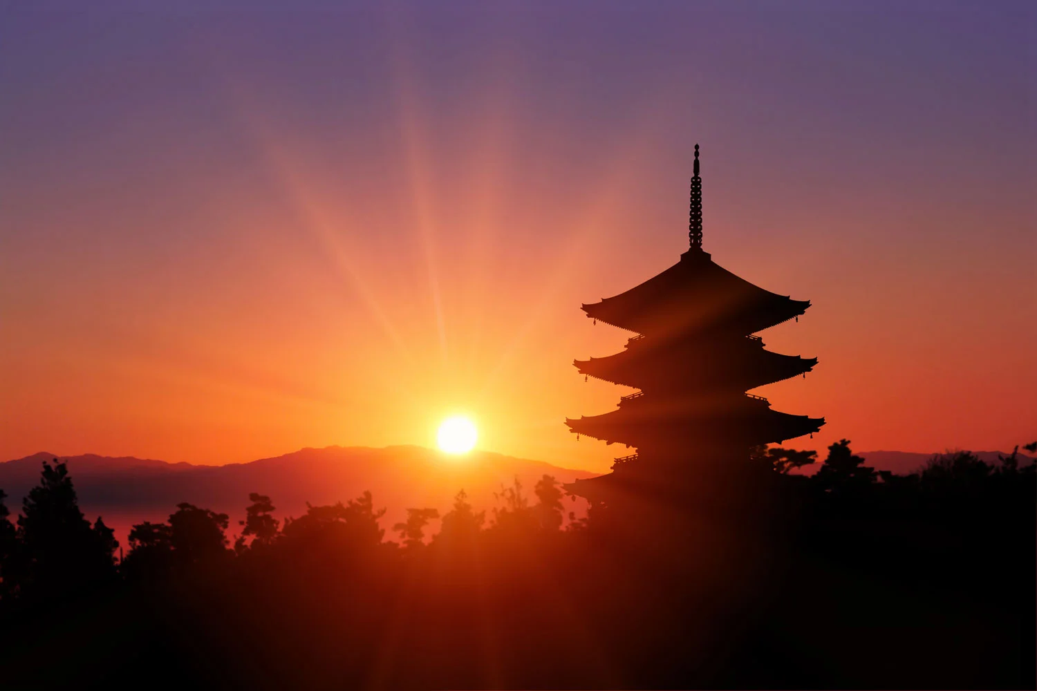 Rising Sun Martial Arts