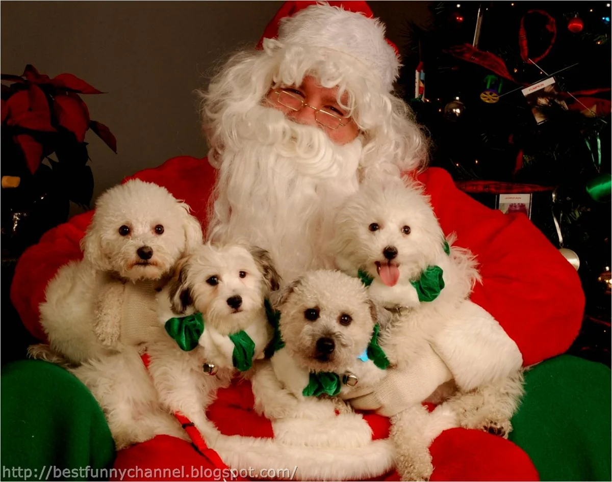 Tis The Season Sunday Funday