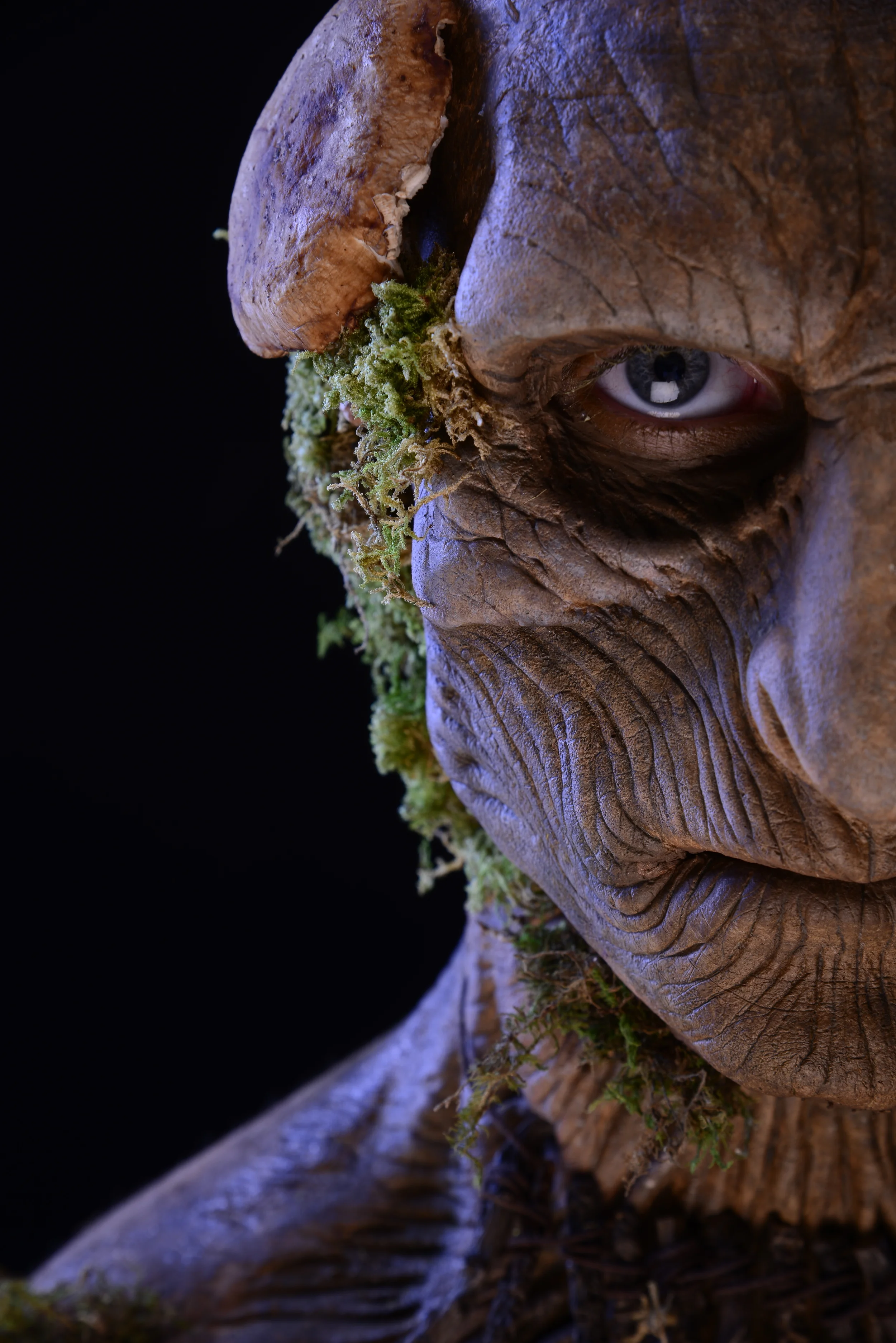 Untitled Session27899.JPG