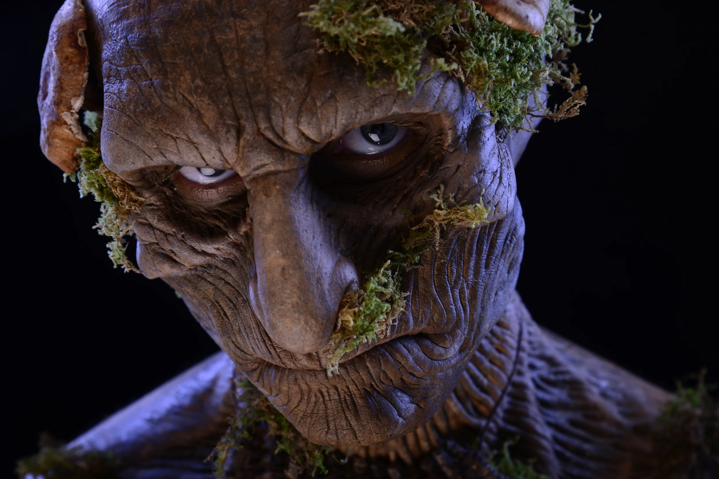 Untitled Session27879.JPG