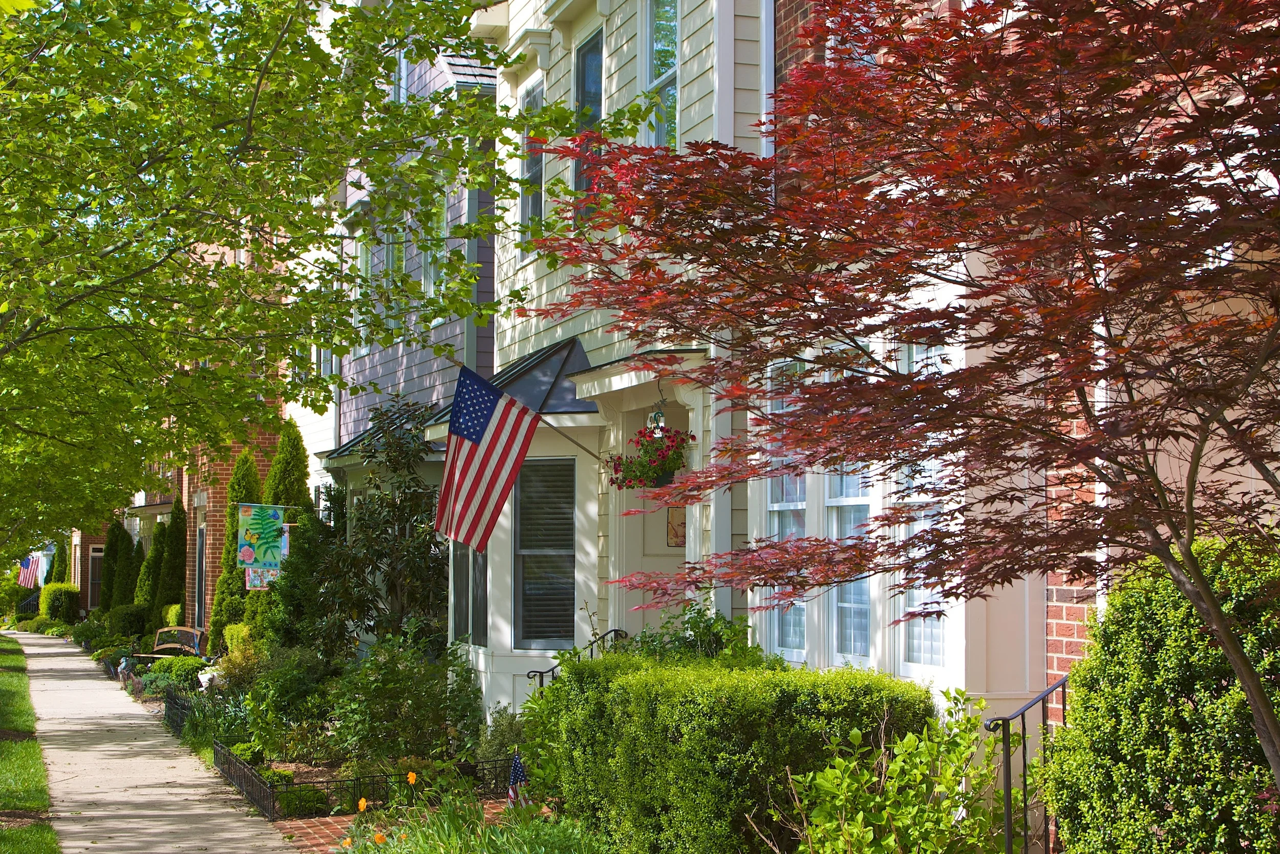 Parkwood  005.jpg