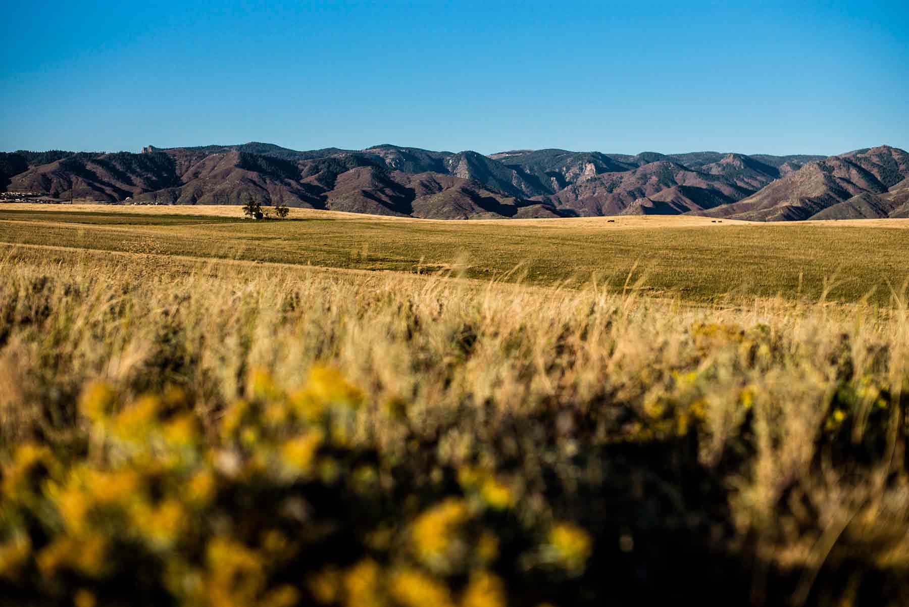 Sterling-Ranch---Foothills-WEB.jpg