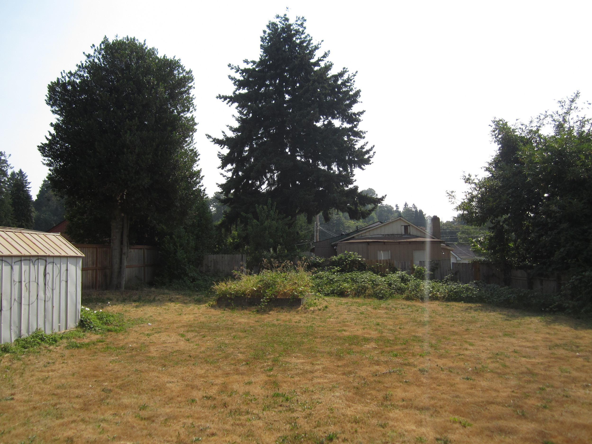 561-869535 - Yard.JPG